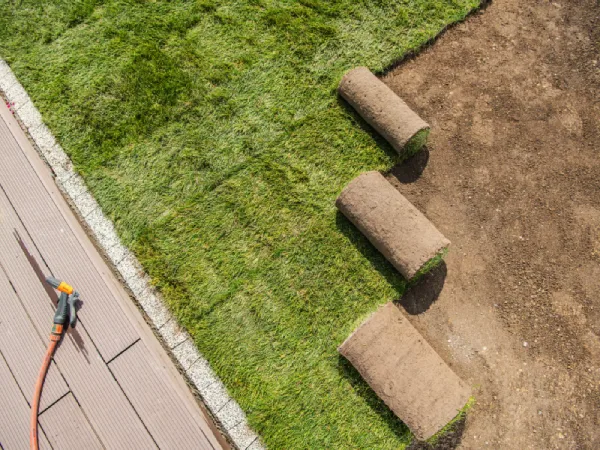 Rolls of Newly Installed Grass Turfs Next to Pool Deck
