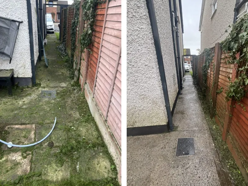 back pation powered washed before and after