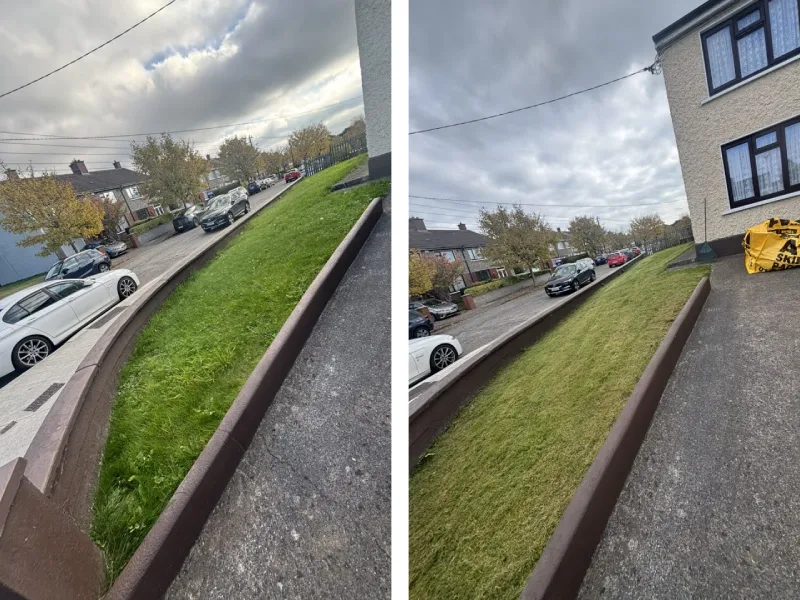 lawn mowing before and after