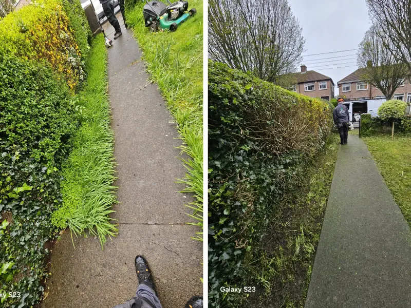 A garden grass before and after it got mowed